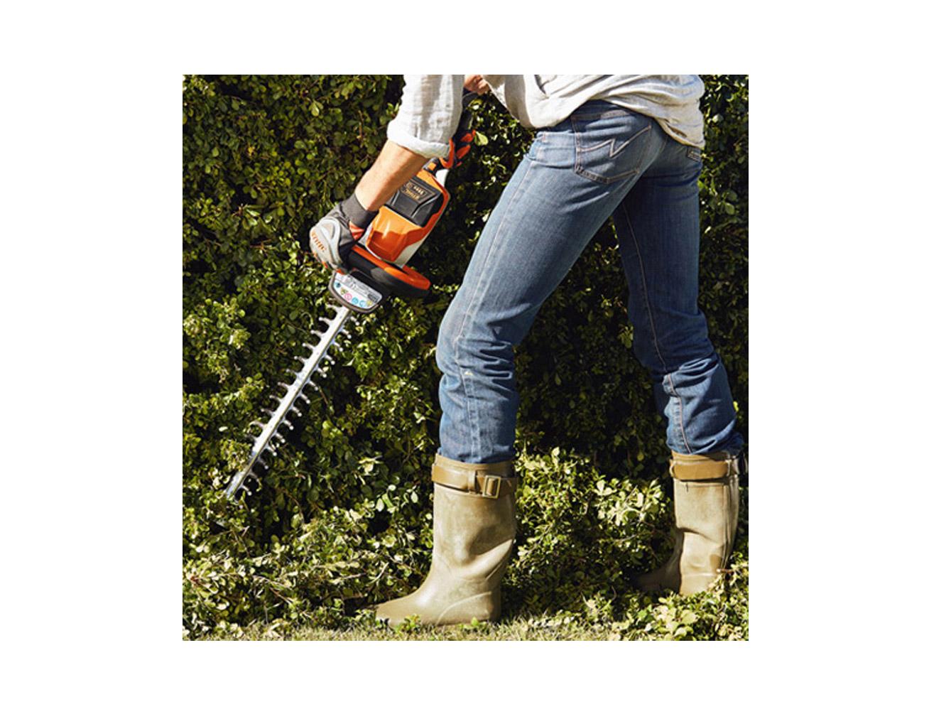 STIHL AkkuHeckenschere HSA 56 mit Akku AK 10 und Ladegerät AL 101