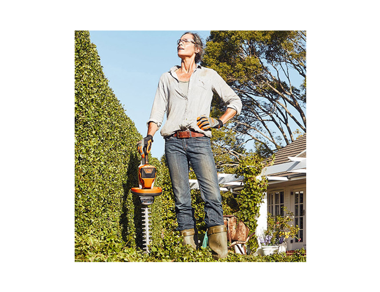 STIHL AkkuHeckenschere HSA 56 mit Akku AK 10 und Ladegerät AL 101